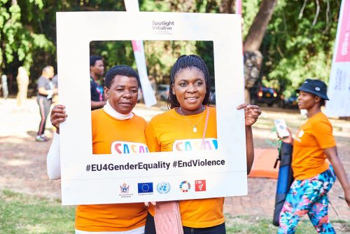 SYSspotlight initiative-7